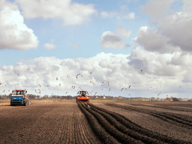 Agri & Food